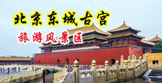 处女生阴道视频网站在线观看中国北京-东城古宫旅游风景区